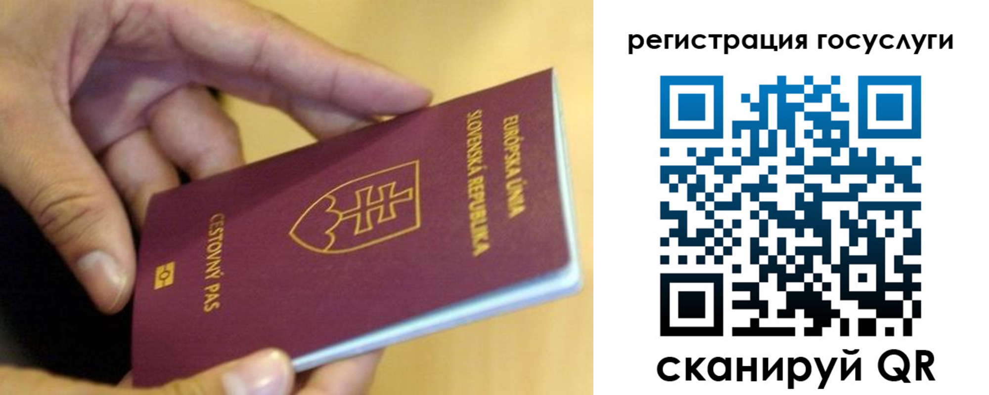 прописка в квартире в Дрезне